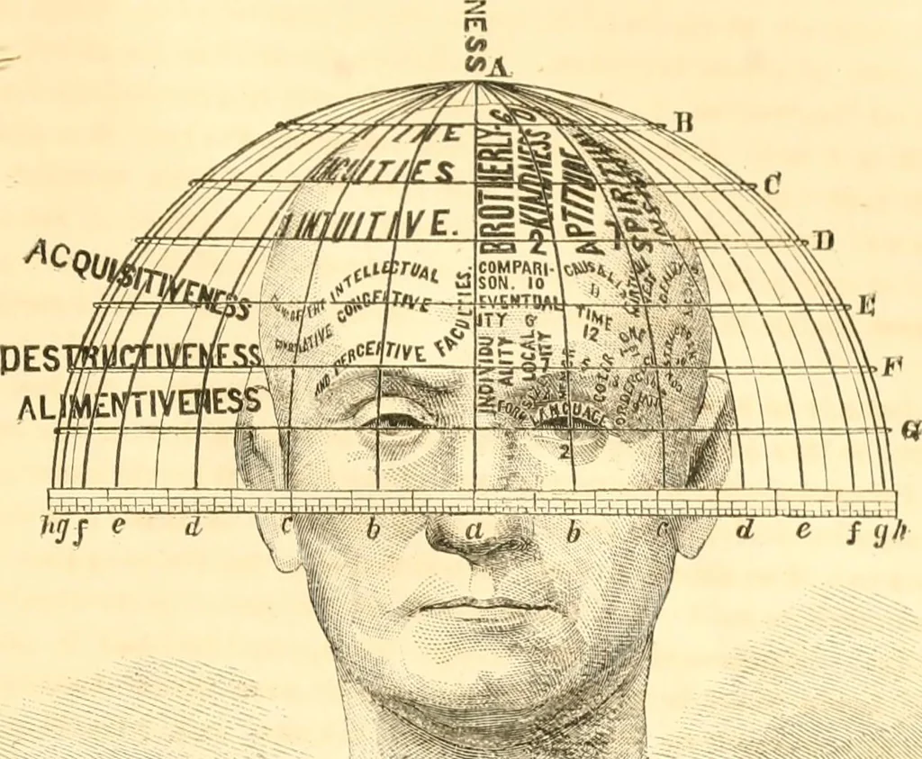 An illustration from The scientific basis of education demonstrated. By an analysis of the temperaments and of phrenological facts, in connection with mental phenomena and the office of the Holy Spirit in the processes of the mind: in a series of letters, to the Department of public instruction in the city of New York, by John Hecker, 1867, leaf 108