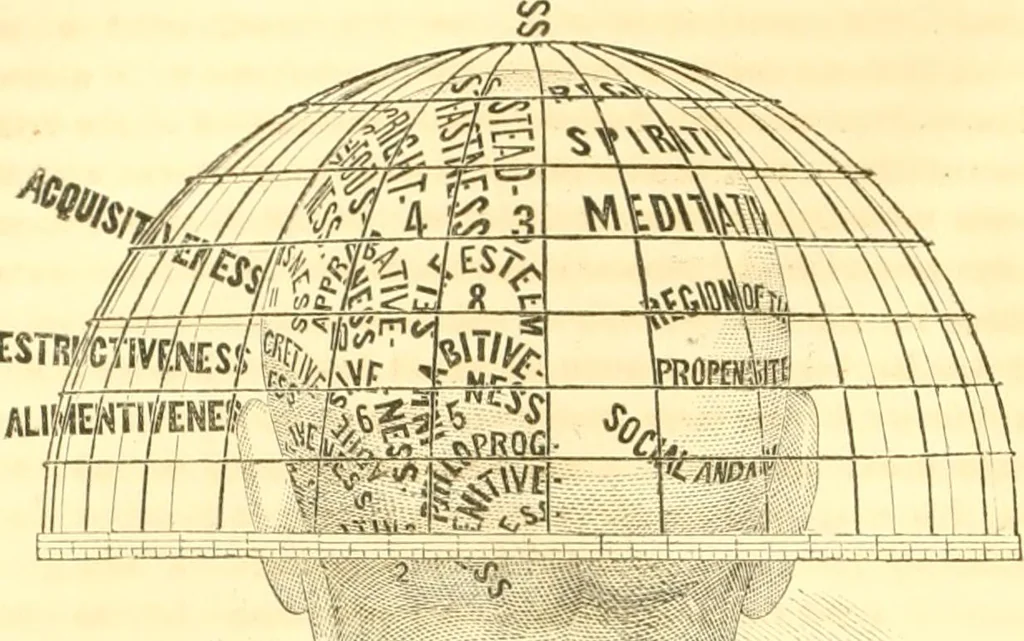 An illustration from The scientific basis of education demonstrated. By an analysis of the temperaments and of phrenological facts, in connection with mental phenomena and the office of the Holy Spirit in the processes of the mind: in a series of letters, to the Department of public instruction in the city of New York, by John Hecker, 1867, leaf 111