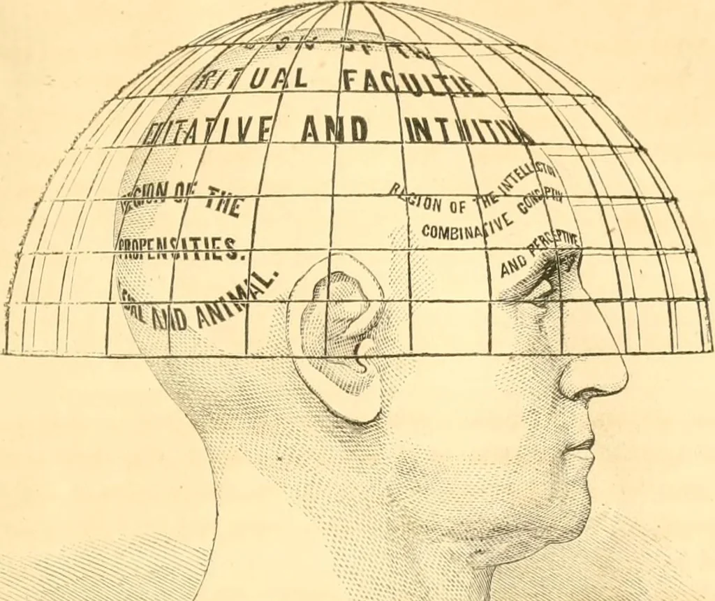 An illustration from The scientific basis of education demonstrated. By an analysis of the temperaments and of phrenological facts, in connection with mental phenomena and the office of the Holy Spirit in the processes of the mind: in a series of letters, to the Department of public instruction in the city of New York, by John Hecker, 1867, leaf 54