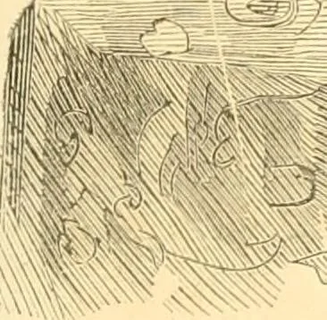 An illustration from The scientific basis of education demonstrated. By an analysis of the temperaments and of phrenological facts, in connection with mental phenomena and the office of the Holy Spirit in the processes of the mind: in a series of letters, to the Department of public instruction in the city of New York, by John Hecker, 1867, leaf 54