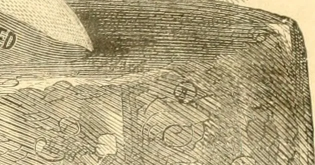 An illustration from The scientific basis of education demonstrated. By an analysis of the temperaments and of phrenological facts, in connection with mental phenomena and the office of the Holy Spirit in the processes of the mind: in a series of letters, to the Department of public instruction in the city of New York, by John Hecker, 1867, leaf 54