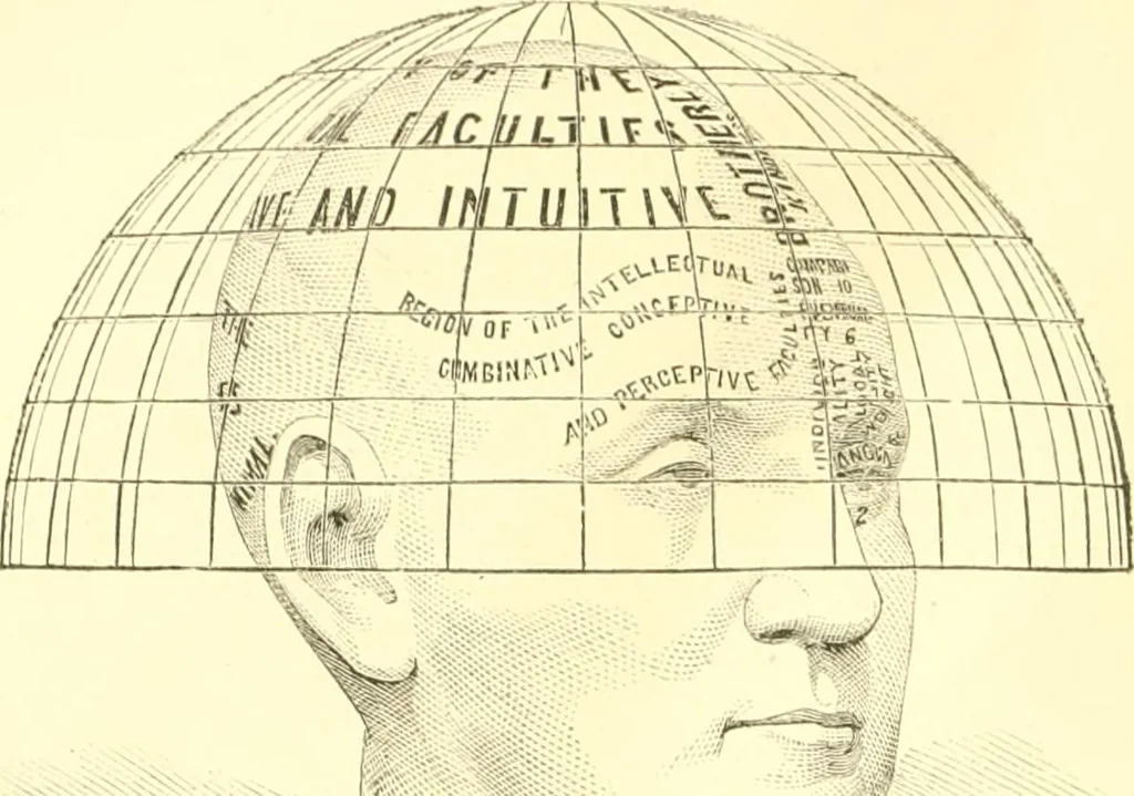 An illustration from The scientific basis of education demonstrated. By an analysis of the temperaments and of phrenological facts, in connection with mental phenomena and the office of the Holy Spirit in the processes of the mind: in a series of letters, to the Department of public instruction in the city of New York, by John Hecker, 1867, leaf 61