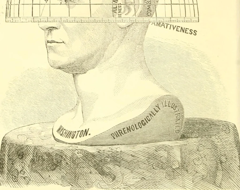 An illustration from The scientific basis of education demonstrated. By an analysis of the temperaments and of phrenological facts, in connection with mental phenomena and the office of the Holy Spirit in the processes of the mind: in a series of letters, to the Department of public instruction in the city of New York, by John Hecker, 1867, leaf 63