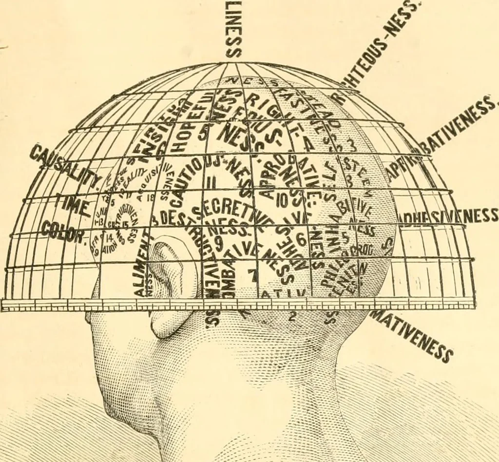 An illustration from The scientific basis of education demonstrated. By an analysis of the temperaments and of phrenological facts, in connection with mental phenomena and the office of the Holy Spirit in the processes of the mind: in a series of letters, to the Department of public instruction in the city of New York, by John Hecker, 1867, leaf 66