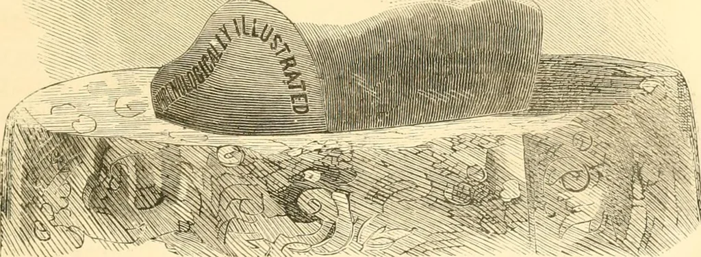 An illustration from The scientific basis of education demonstrated. By an analysis of the temperaments and of phrenological facts, in connection with mental phenomena and the office of the Holy Spirit in the processes of the mind: in a series of letters, to the Department of public instruction in the city of New York, by John Hecker, 1867, leaf 66