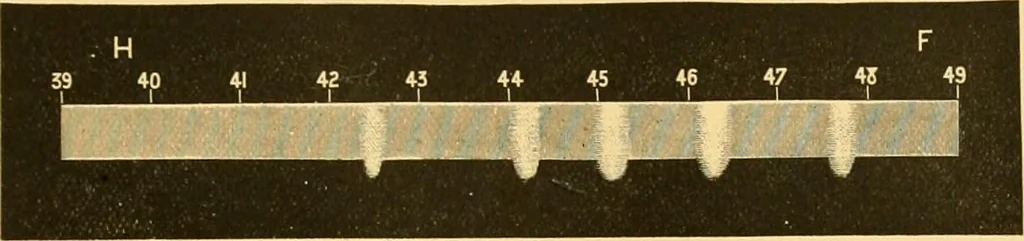 An illustration from The scientific papers of Sir William Huggins, 1909, leaf 324