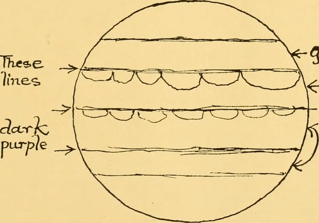 An illustration from The scientific papers of Sir William Huggins, 1909, leaf 392