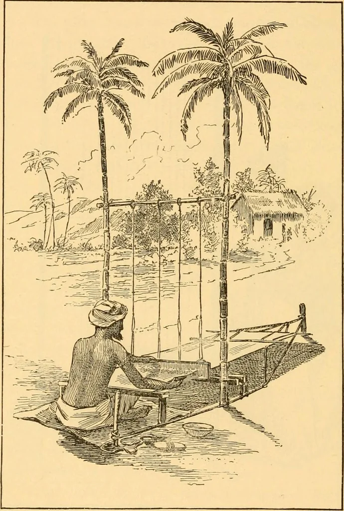 An illustration from Scientific sewing and garment cutting, for use in schools and in the home;, 1898, leaf 157