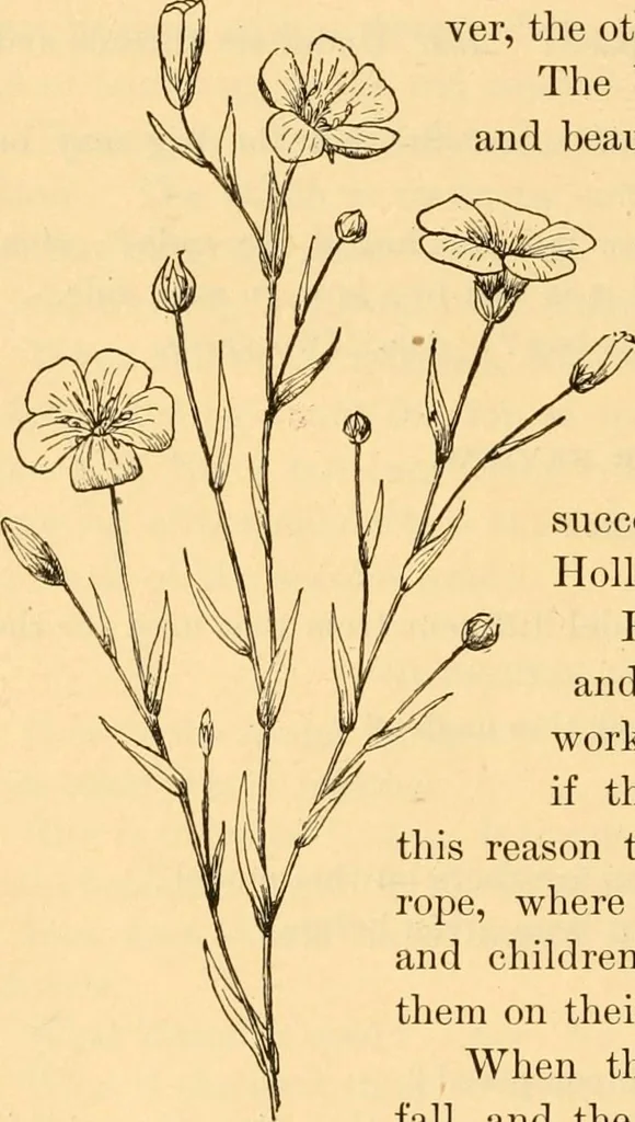 An illustration from Scientific sewing and garment cutting, for use in schools and in the home;, 1898, leaf 53