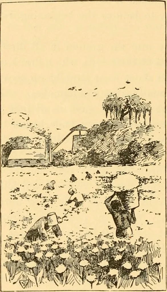 An illustration from Scientific sewing and garment cutting, for use in schools and in the home;, 1898, leaf 69
