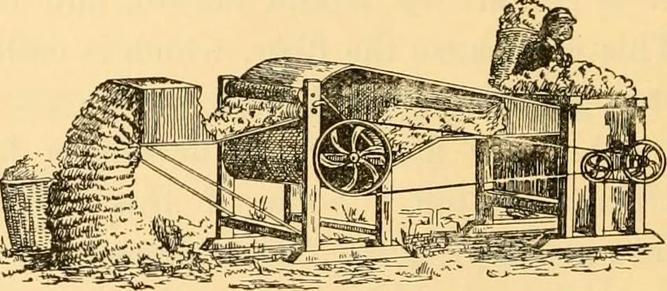 An illustration from Scientific sewing and garment cutting, for use in schools and in the home;, 1898, leaf 69