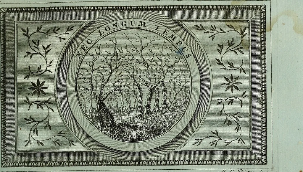 An illustration from Scipionis Gonzagae Cardinalis Commentariorum rerum suarum libri tres, 1791, leaf 210