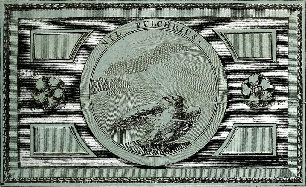An illustration from Scipionis Gonzagae Cardinalis Commentariorum rerum suarum libri tres, 1791, leaf 92