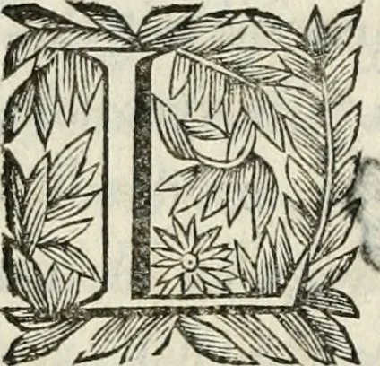An illustration from Scisma d'Inghilterra, con altre operette, 1638, leaf 135
