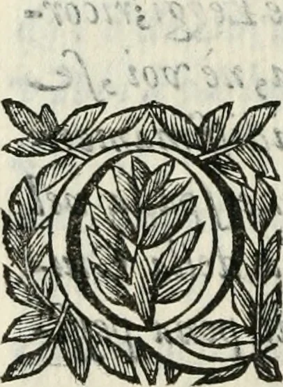 An illustration from Scisma d'Inghilterra, con altre operette, 1638, leaf 157