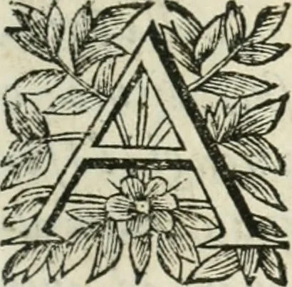 An illustration from Scisma d'Inghilterra, con altre operette, 1638, leaf 16