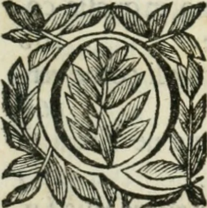 An illustration from Scisma d'Inghilterra, con altre operette, 1638, leaf 212