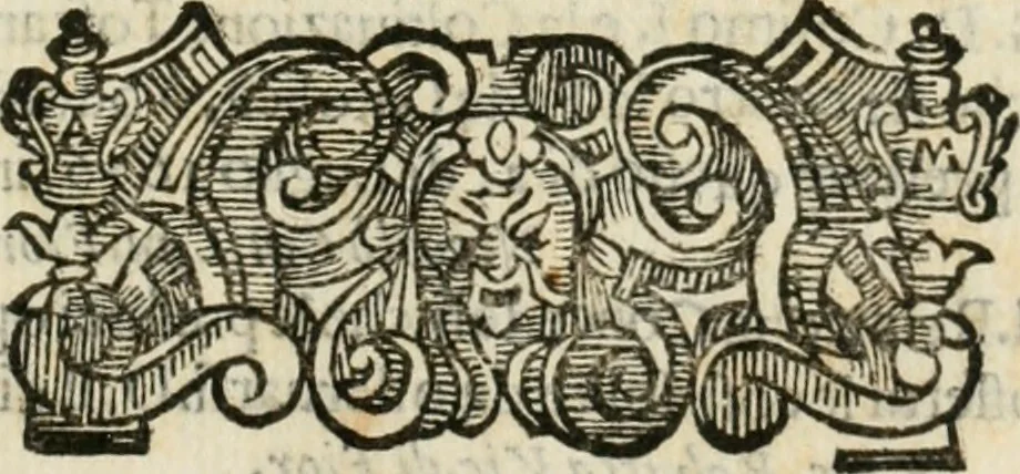 An illustration from Scisma d'Inghilterra, con altre operette, 1638, leaf 214