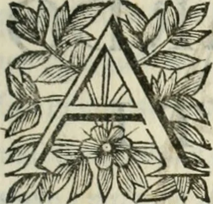 An illustration from Scisma d'Inghilterra, con altre operette, 1638, leaf 6