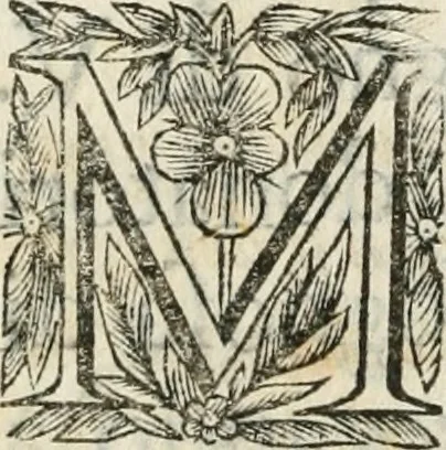 An illustration from Scisma d'Inghilterra, con altre operette, 1638, leaf 7