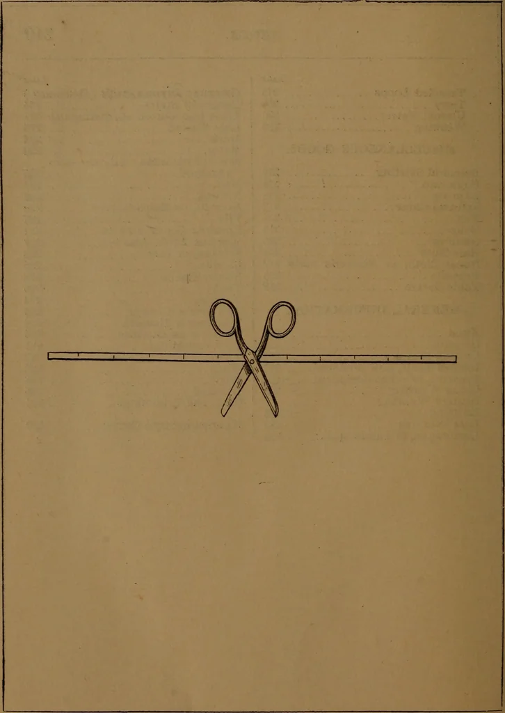An illustration from Scissors and yardstick : or, All about yard goods :, 1872, leaf 255