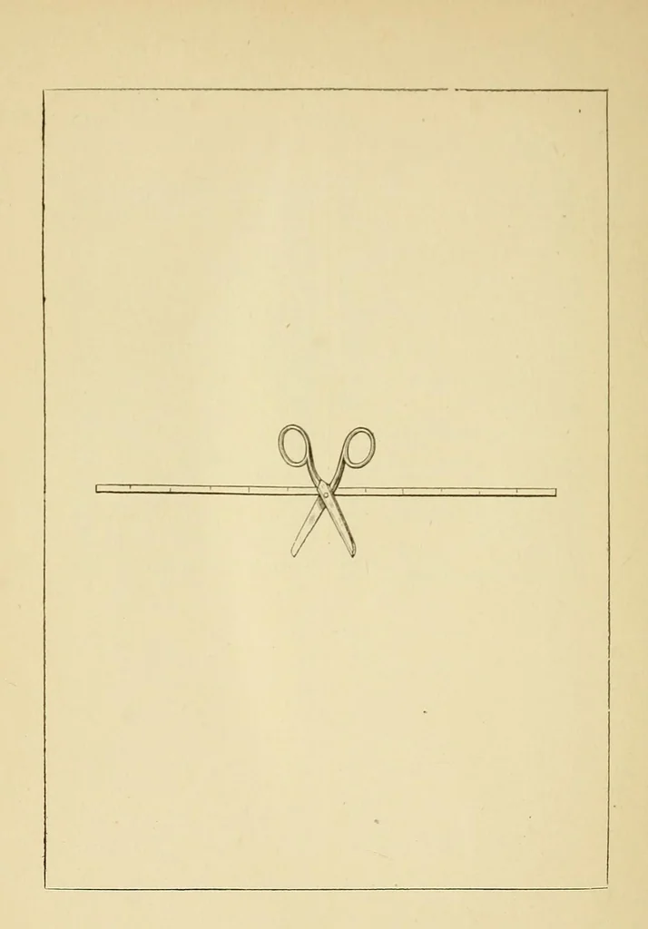 An illustration from Scissors and yardstick, or, all about dry goods : a complete manual, giving a detailed description of each article included in the several departments, together with upholstery and house-furnishing goods ; also, a list of all the principal dry goods manufacturing cities and towns of the world, 1872, leaf 260