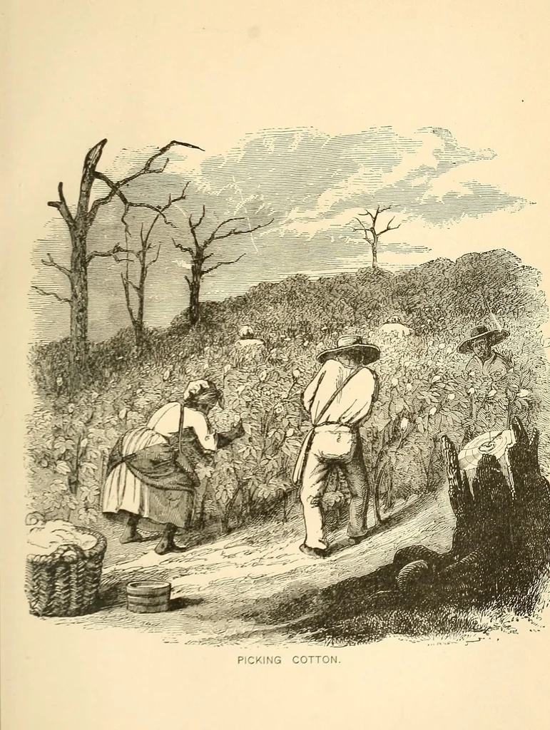 An illustration from Scissors and yardstick, or, all about dry goods : a complete manual, giving a detailed description of each article included in the several departments, together with upholstery and house-furnishing goods ; also, a list of all the principal dry goods manufacturing cities and towns of the world, 1872, leaf 43