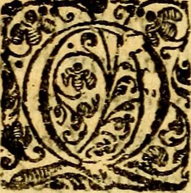An illustration from Scola cordis. Sive aversi a deo cordis ad cumdem reductio, et instructio .., 1635, leaf 113