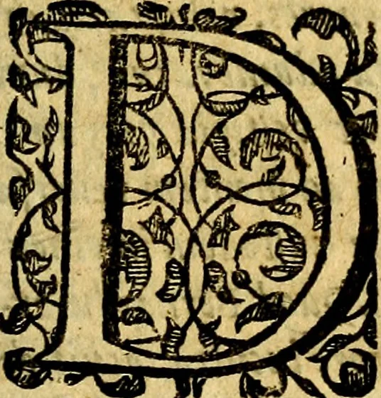An illustration from Scola cordis. Sive aversi a deo cordis ad cumdem reductio, et instructio .., 1635, leaf 122