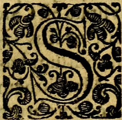 An illustration from Scola cordis. Sive aversi a deo cordis ad cumdem reductio, et instructio .., 1635, leaf 126