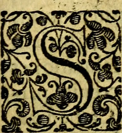 An illustration from Scola cordis. Sive aversi a deo cordis ad cumdem reductio, et instructio .., 1635, leaf 134