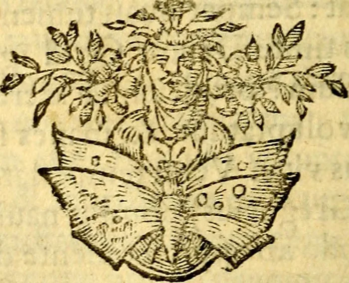An illustration from Scola cordis. Sive aversi a deo cordis ad cumdem reductio, et instructio .., 1635, leaf 151