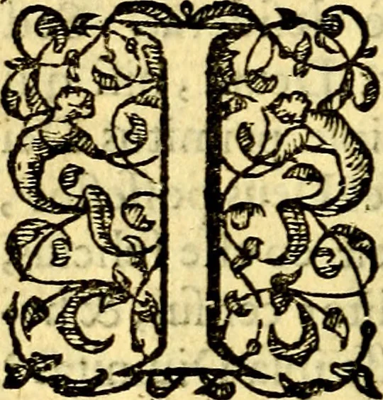 An illustration from Scola cordis. Sive aversi a deo cordis ad cumdem reductio, et instructio .., 1635, leaf 191