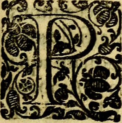 An illustration from Scola cordis. Sive aversi a deo cordis ad cumdem reductio, et instructio .., 1635, leaf 206