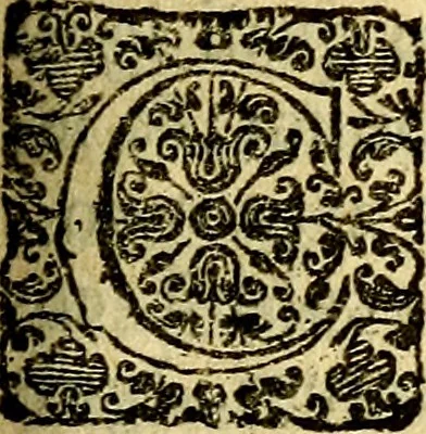 An illustration from Scola cordis. Sive aversi a deo cordis ad cumdem reductio, et instructio .., 1635, leaf 304
