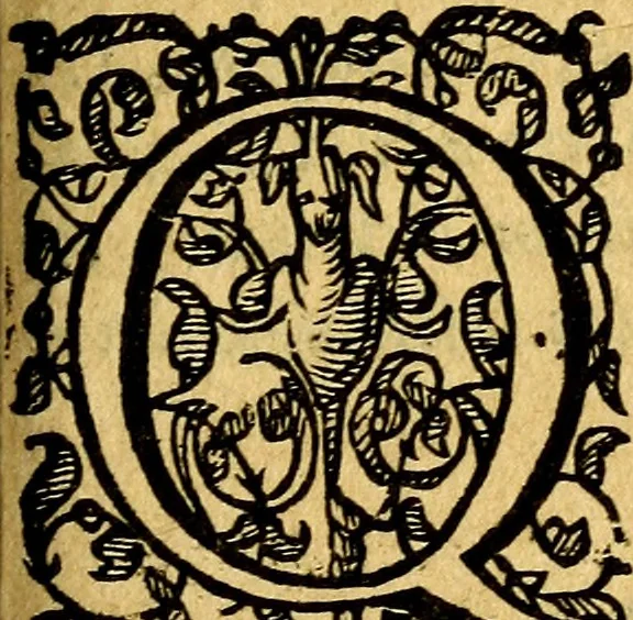 An illustration from Scola cordis. Sive aversi a deo cordis ad cumdem reductio, et instructio .., 1635, leaf 336