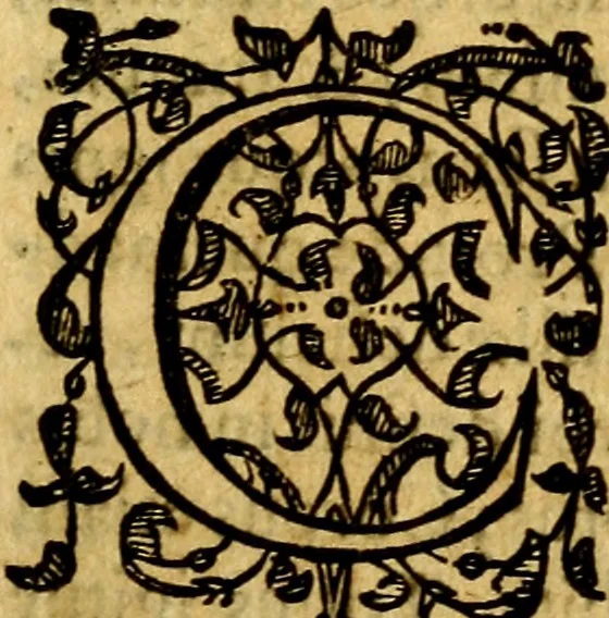 An illustration from Scola cordis. Sive aversi a deo cordis ad cumdem reductio, et instructio .., 1635, leaf 38