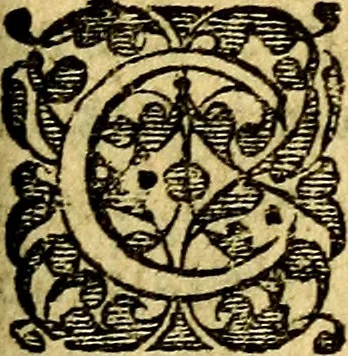 An illustration from Scola cordis. Sive aversi a deo cordis ad cumdem reductio, et instructio .., 1635, leaf 398