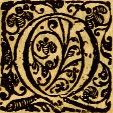 An illustration from Scola cordis. Sive aversi a deo cordis ad cumdem reductio, et instructio .., 1635, leaf 47