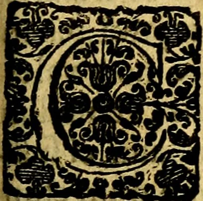 An illustration from Scola cordis. Sive aversi a deo cordis ad cumdem reductio, et instructio .., 1635, leaf 526