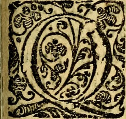 An illustration from Scola cordis. Sive aversi a deo cordis ad cumdem reductio, et instructio .., 1635, leaf 582
