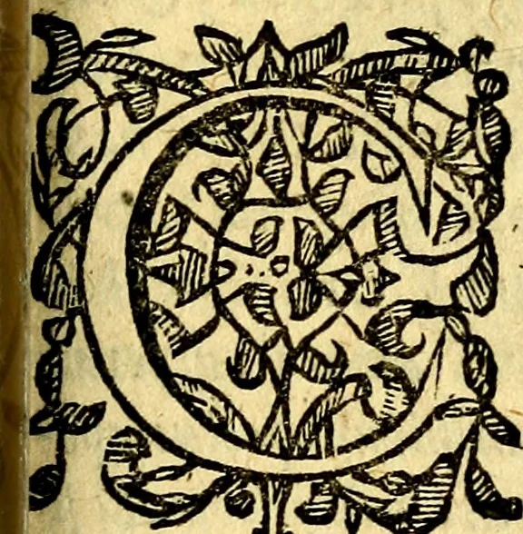 An illustration from Scola cordis. Sive aversi a deo cordis ad cumdem reductio, et instructio .., 1635, leaf 600