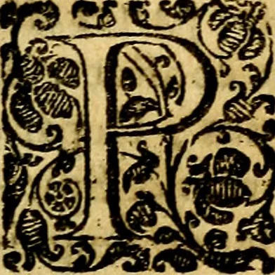 An illustration from Scola cordis. Sive aversi a deo cordis ad cumdem reductio, et instructio .., 1635, leaf 64