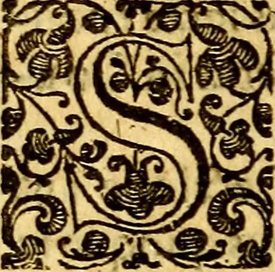 An illustration from Scola cordis. Sive aversi a deo cordis ad cumdem reductio, et instructio .., 1635, leaf 95