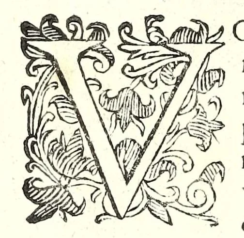 An illustration from Scola, overo, Teatro : nelquale sono rappresentate diuerse maniere e modi di parare e di ferire di spada sola, e di spada e pugnale : doue ogni studioso potrà essercitarsi & farsi prattico nella professione dell'armi, 1628, leaf 24