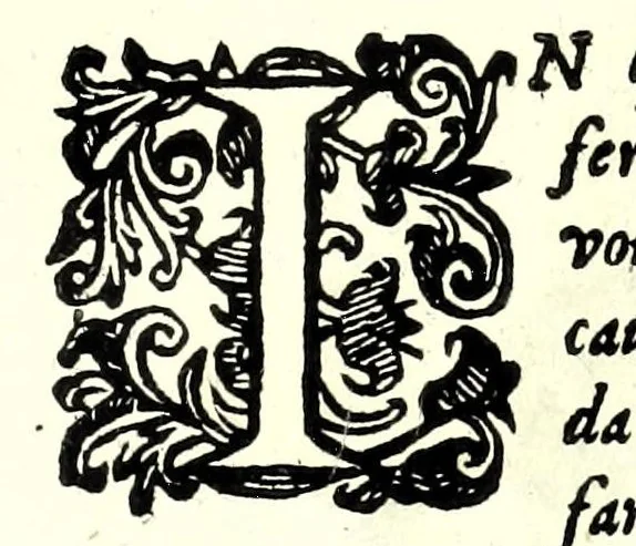 An illustration from Scola, overo, Teatro : nelquale sono rappresentate diuerse maniere e modi di parare e di ferire di spada sola, e di spada e pugnale : doue ogni studioso potrà essercitarsi & farsi prattico nella professione dell'armi, 1628, leaf 41