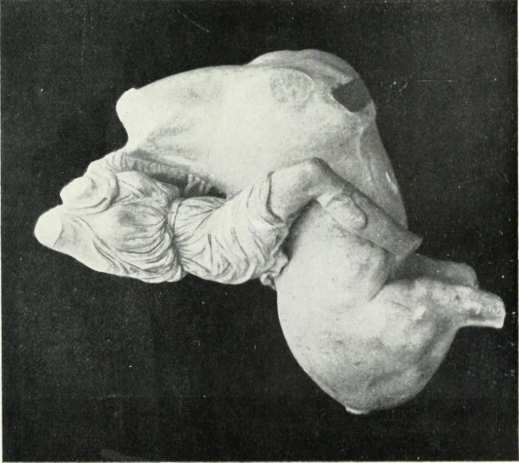 An illustration from Scopas et Praxitèle : la sculpture grecque au IVe siècle jusqu'au temps d'Alexandre, 1907, leaf 142