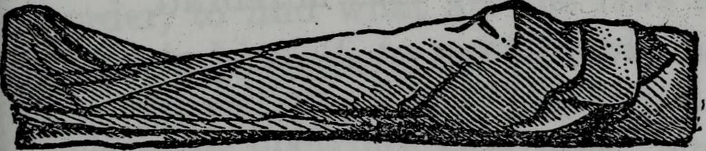An illustration from Scotch Rite masonry illustrated : the complete ritual of the ancient and accepted Scottish Rite profusely illustrated, 1905, leaf 142