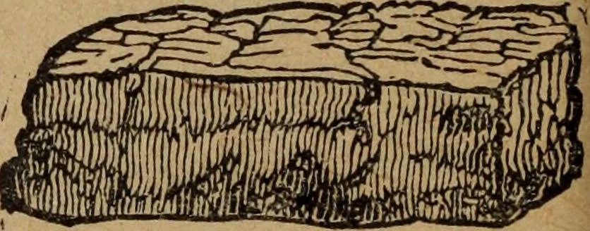 An illustration from Scotch Rite masonry illustrated : the complete ritual of the ancient and accepted Scottish Rite profusely illustrated, 1905, leaf 137