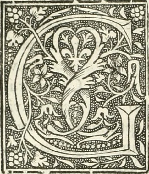 An illustration from Scotorum historiae a prima gentis origine : cum aliarum & rerum & gentium illustratione non vulgari : praemissa epistola nu[m]cupatoria, tabellisq[ue] amplissmis & non poenitenda isagoge quae ab huius terho explicabuntur diffusius, 1526, leaf 133